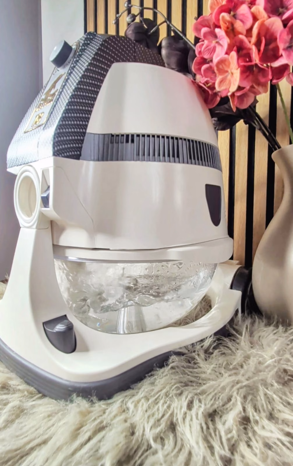 Frischere Raumluft beim Reinigen Verbesserung der Raumluft durch den DELPHIN Wasserstaubsauger