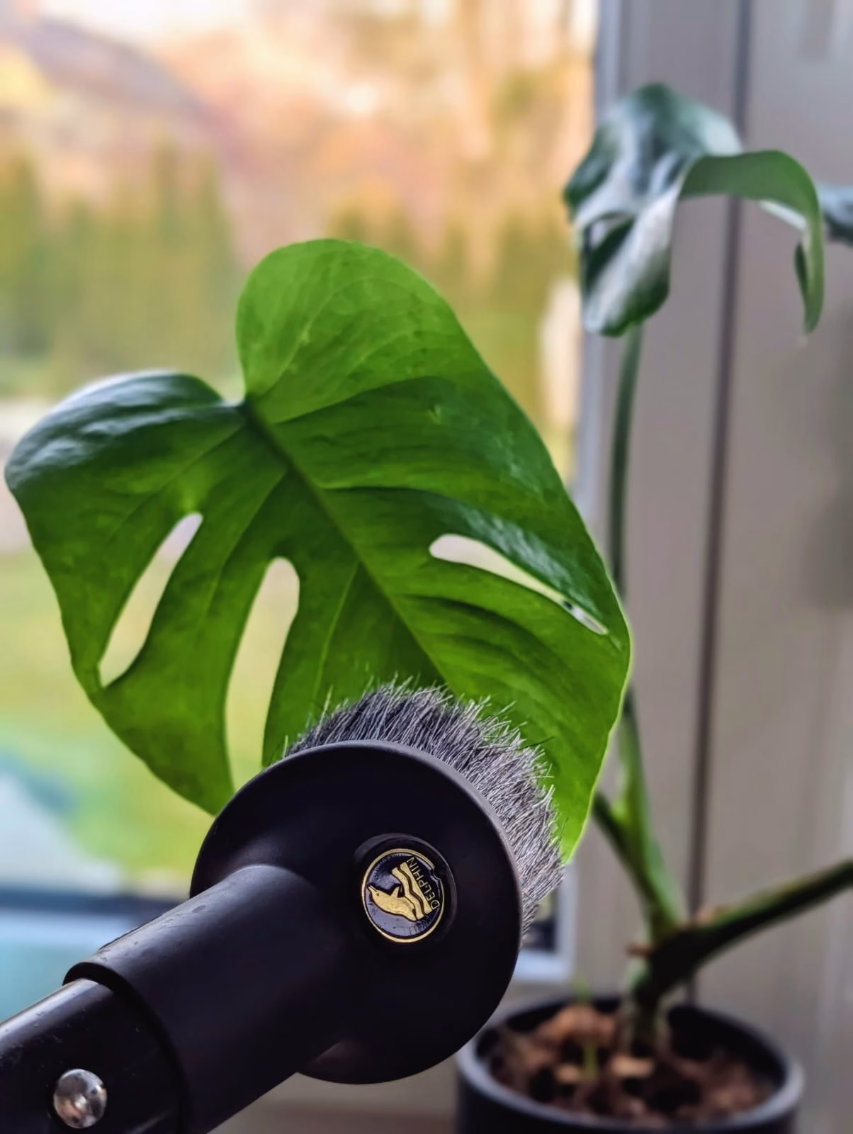 Ein Gerät für viele Anwendungen DELPHIN Zubehör für vielseitige Reinigungsaufgaben im Haushalt